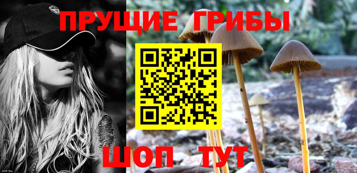 Галлюциногенные грибы MAGIC MUSHROOMS Димитровград