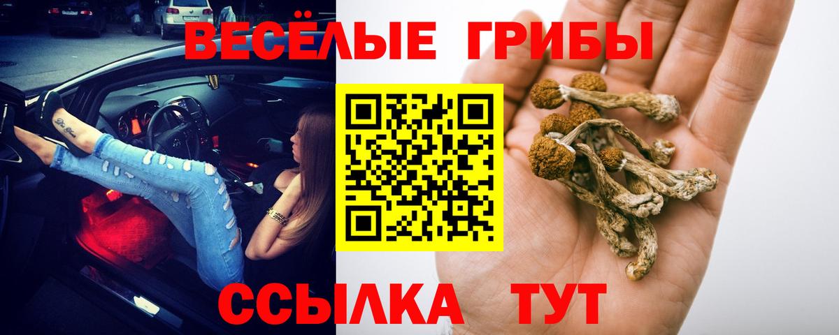 Галлюциногенные грибы мухоморы  Галлюциногенные грибы Magic Shrooms  Вход с VPN  Димитровград 